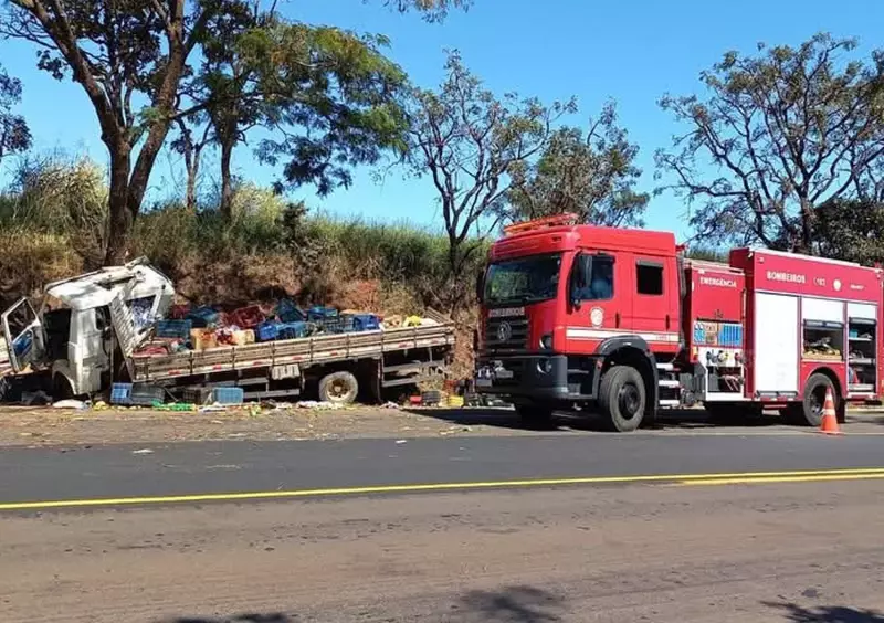 Tragédia na Rodovia: Pai e filho morrem em acidente com caminhão próximo a Altinópolis, SP