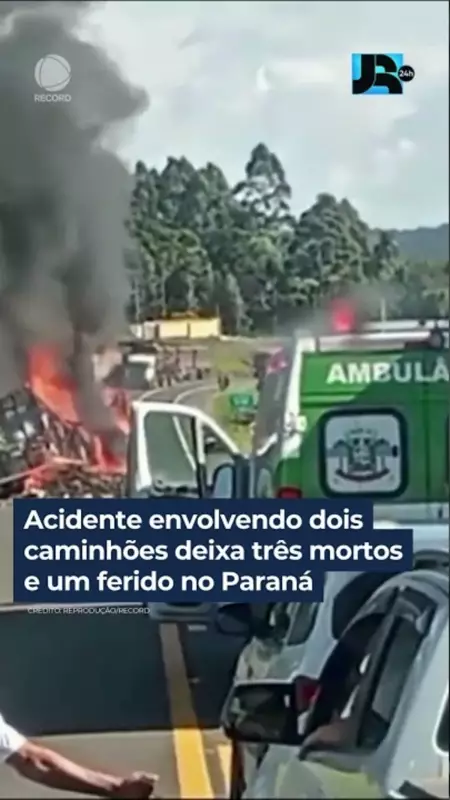 Tragédia no Paraná: Acidente com caminhões deixa três mortos e um ferido