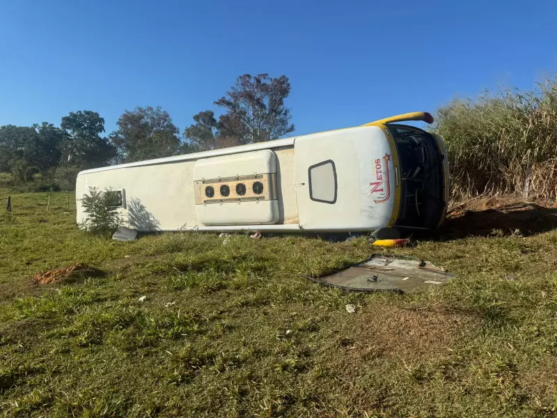 Tragédia no Sul de Minas: Menino de 4 anos morre em acidente com ônibus de turismo e é sepultado