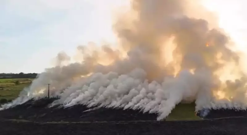 Três homens são presos por incêndio criminoso em mata de Botucatu: entenda o caso
