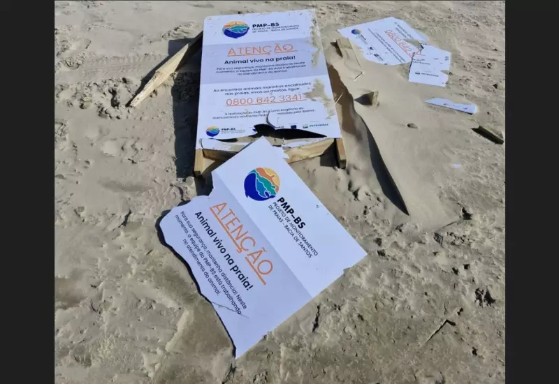 Vandalismo em Imbituba: Foca é alvo de ataque enquanto descansava na Laguna