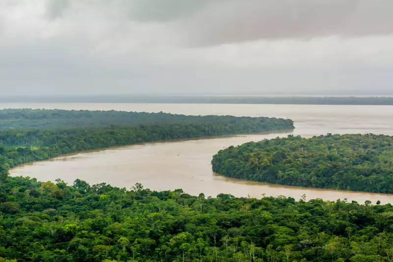 Vídeo de sucuri gigante no Amazonas é fake! Imagem foi criada com IA, diz investigação